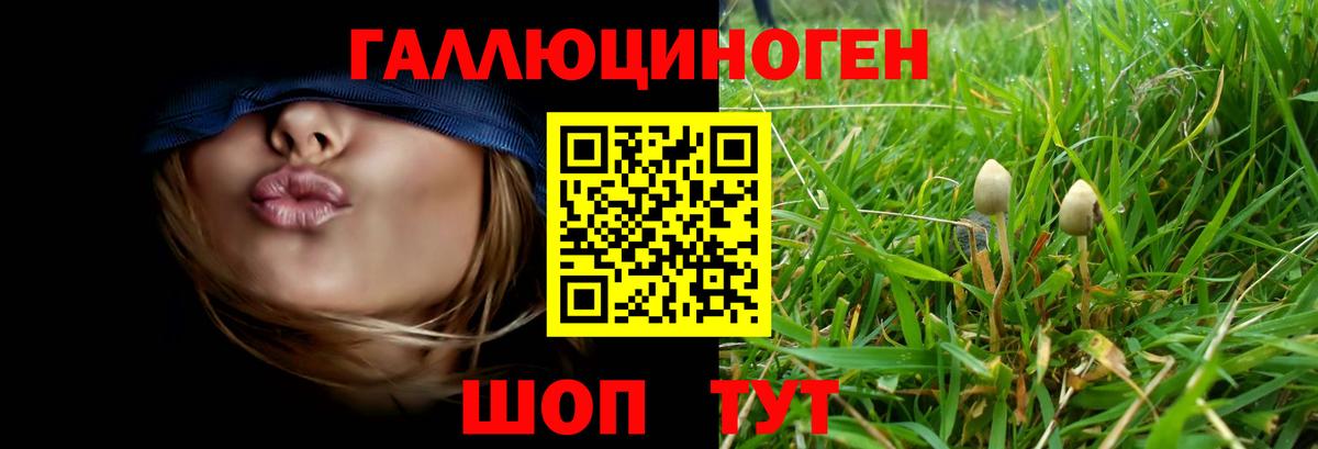 Галлюциногенные грибы Psilocybine cubensis  Вход с VPN  Ейск  Псилоцибиновые грибы мицелий 